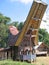 A traditional Toraja house