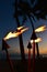 Traditional torches burn at dusk on Waikiki Bech