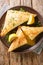 Traditional Tunisian cuisine Brik pastries with tuna and egg srved with lemon close up in the plate. Vertical top view