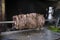 Traditional Turkish Oltu Cag Crochet Shish Kebab doner grilled in wood fired oven