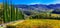 Traditional Tuscany - scenery with autumn vineyards and cypresses. Italy