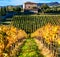 Traditional Tuscany - scenery with autumn vineyards. Italy