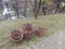 Traditional Twig Baskets in National Village Museum of Bucharest