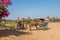 Traditional two-wheeled horse cart in Bagan