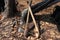 Traditional typical axes rural people in Zimbabwe