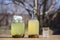 Traditional Ukrainian cold barley drink kvass in a glass jar on nature background. Kvass drink made from birch sap and fried