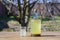 Traditional Ukrainian cold barley drink kvass in a glass jar on nature background. Kvass drink made from birch sap and fried