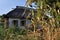 Traditional Ukrainian rural house with rush roof and opened wind