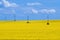 A traditional Ukrainian yellow-blue landscape yellow fields and blue sky with clouds