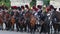 Traditional uniform Belgium cavalry on royal parade horse riders