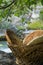 Traditional unleavened homemade bread in wooden basket on the rock