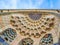 Traditional Uzbek pattern on the ceramic tile on the wall of the mosque,