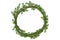 Traditional vector Merry Christmas wreath spruce