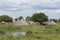 A traditional village along the White Nile river in South Sudan south of Bor
