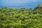 Traditional vineyards in Pico Island, Azores. The vineyards are among stone walls, called the `vineyard corrals`