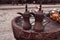 Traditional vintage arabic coffee pots at bedouin fireplace in the desert.Coffee jugs in Bedouin tent in the middle east