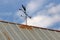 Traditional Weather Vane on Tin Roof