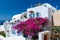 Traditional white Greek house with blossoming bougainvillea flowers at Santorini island