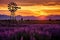 Traditional windmill amidst purple flowers under a stunning sunset