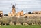 traditional windmill in Mallorca, Balearic Islands