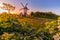 Traditional windmill at sunrise with blooming flowers