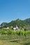Traditional wine growing near the village Duernstein in Austria