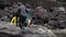 Traditional Women-Divers at Jeju Island, also Called as Haenyeo, Gathering Shell-fish in the Sea