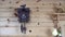 Traditional wood cuckoo clock with bird strikes sound 11 times at eleven o`clock. Watch hangs on wooden wall in mountain cabin