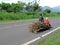 Traditional wood transport in El Salvador