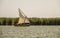 Traditional wooden boats sailing in a regatta, in Albufera Valencia