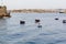 Traditional wooden fishing boats in Valletta Marsamxett Harbour, Malta