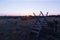 Traditional wooden stile at a fence by sunset