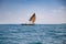 Traditional zanzibar boat dhow sailing in the sea