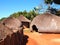 Traditional Zulu straw huts rondavels. South Africa.