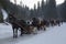 Traditionally sleigh ride in the polish mountains