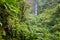 Trafalgar Falls, Dominica