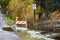 Traffic barricade with solar lamp and No Parking Any Time sign along a flooding lake during autumn