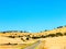 Traffic Bright Yellow Grass and Blue Sky