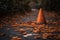 traffic cone surrounded by autumn leaves on a windy day