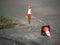 Traffic cone in a water, concept flood.