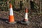 Traffic cones abandoned on waste land near woods