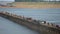 Traffic jam on the bamboo bridge over the Mekong River  time lapse