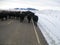 Traffic jam cattle black cows on the road highway blocked