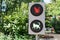 Traffic light with cats. Funny traffic light concept for children and parents in city garden. Green light on