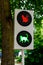 The traffic light for cats is green. Pet friendly traffic light for cats is on the street of the city