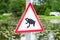 Traffic sign attends for frog migration