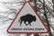 Traffic Sign Bison Bialowieza