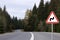 Traffic sign DOUBLE BEND FIRST TO RIGHT near empty asphalt road going through coniferous forest