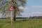 Traffic sign for game trail where wild animals cross the road