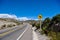 Traffic sign : Watch for Lamas!!, Bolivia